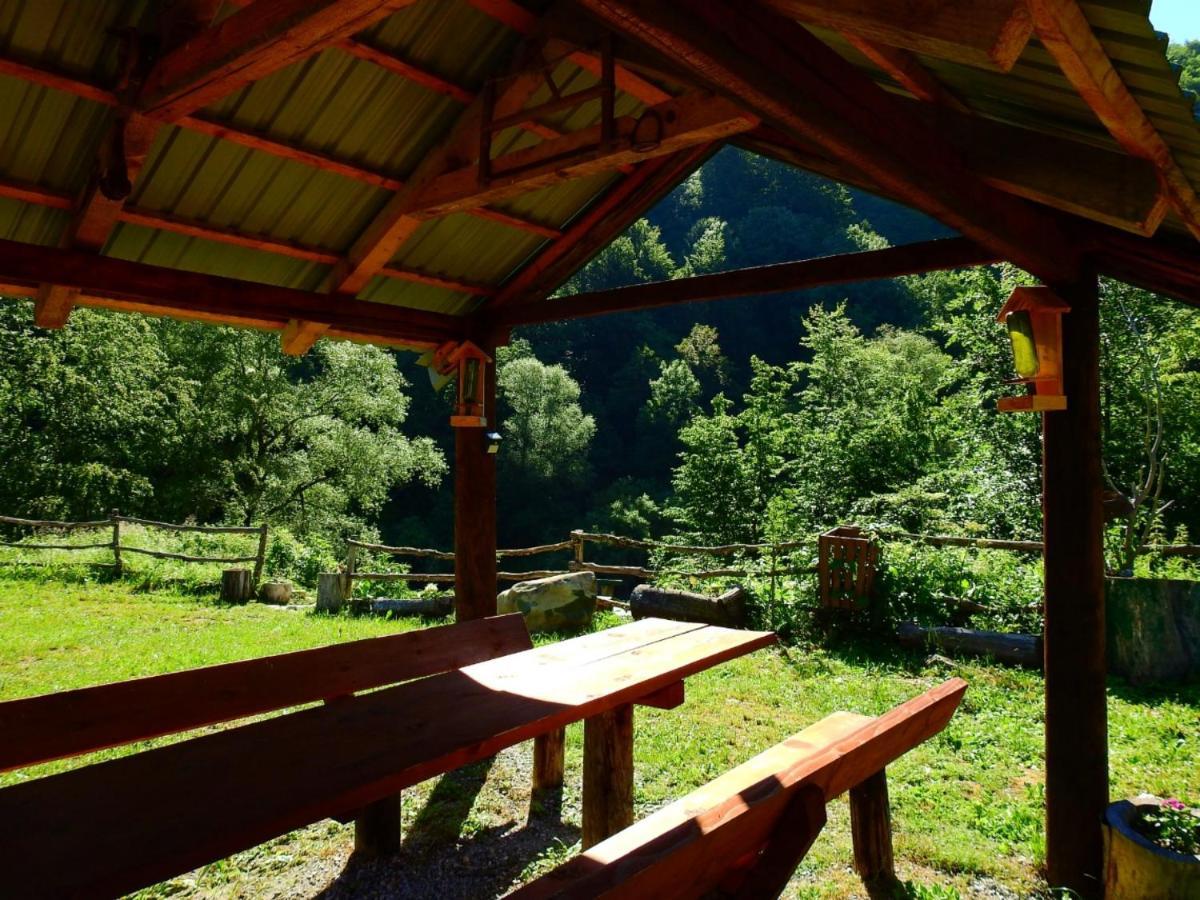 Private Accommodation Kalezic Mojkovac Exteriör bild