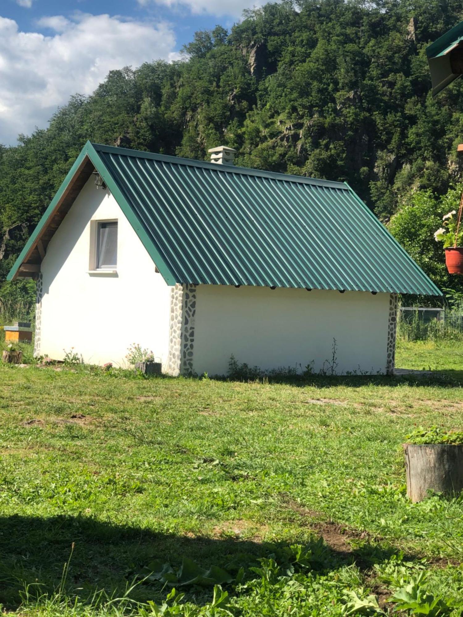 Private Accommodation Kalezic Mojkovac Exteriör bild